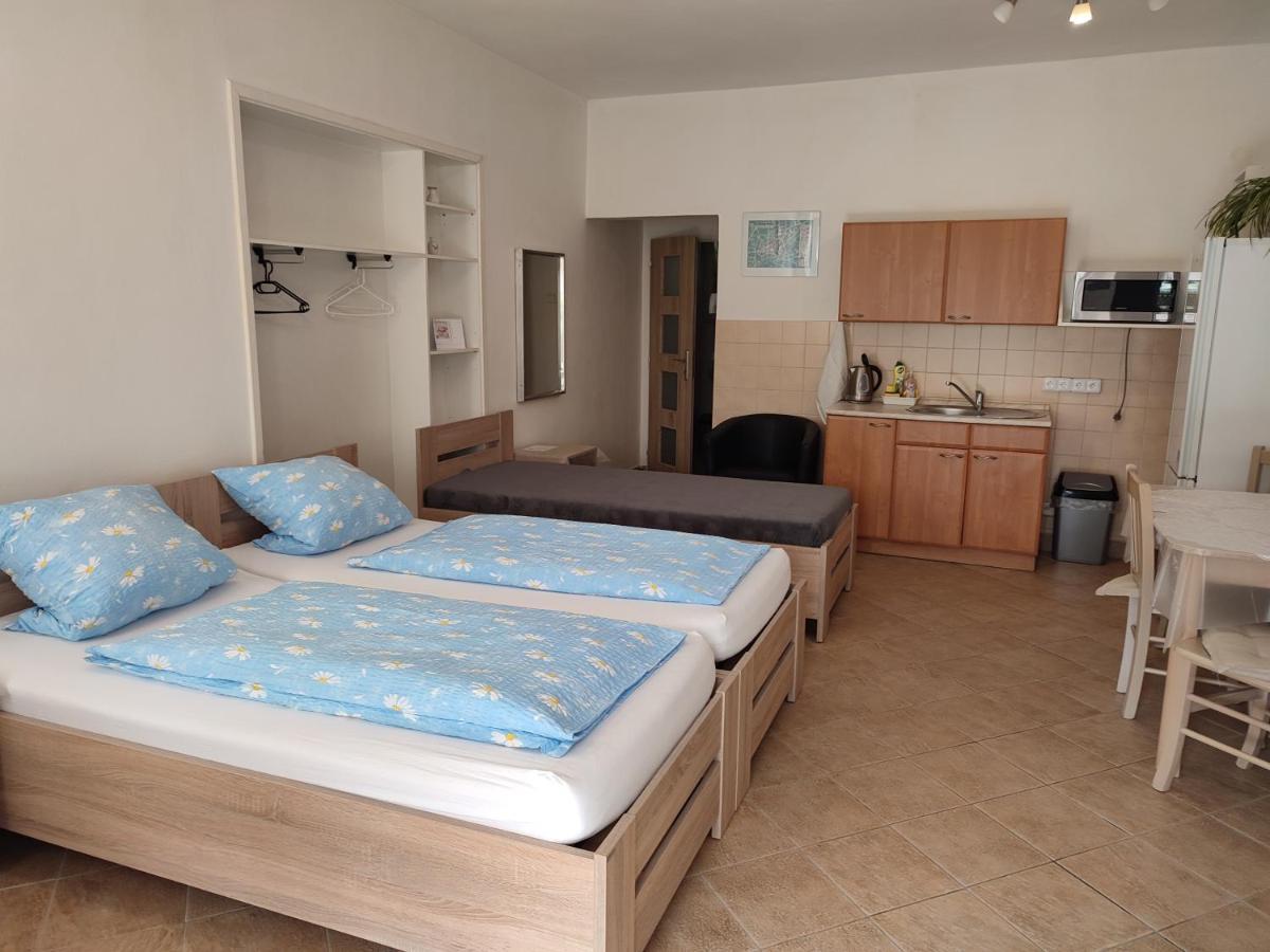 Pension Dana Karaskova Apartamento Kutná Hora Exterior foto