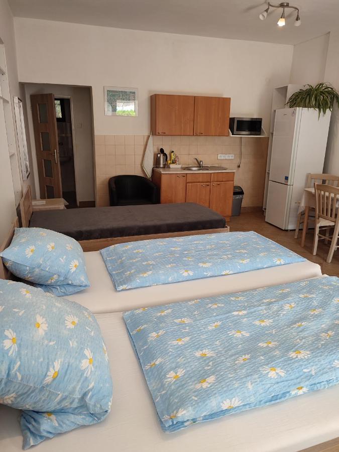 Pension Dana Karaskova Apartamento Kutná Hora Exterior foto