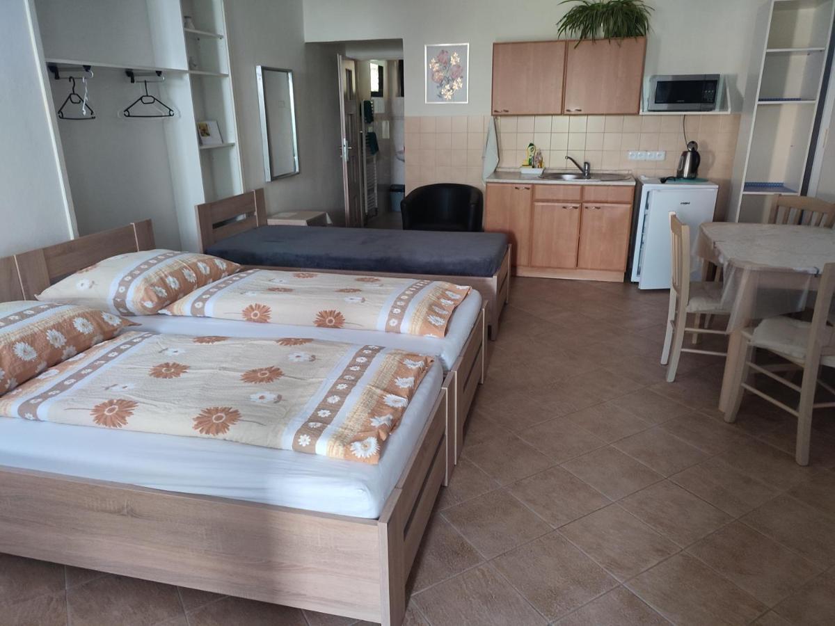 Pension Dana Karaskova Apartamento Kutná Hora Exterior foto