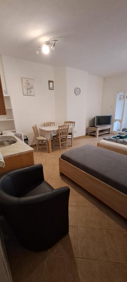 Pension Dana Karaskova Apartamento Kutná Hora Exterior foto