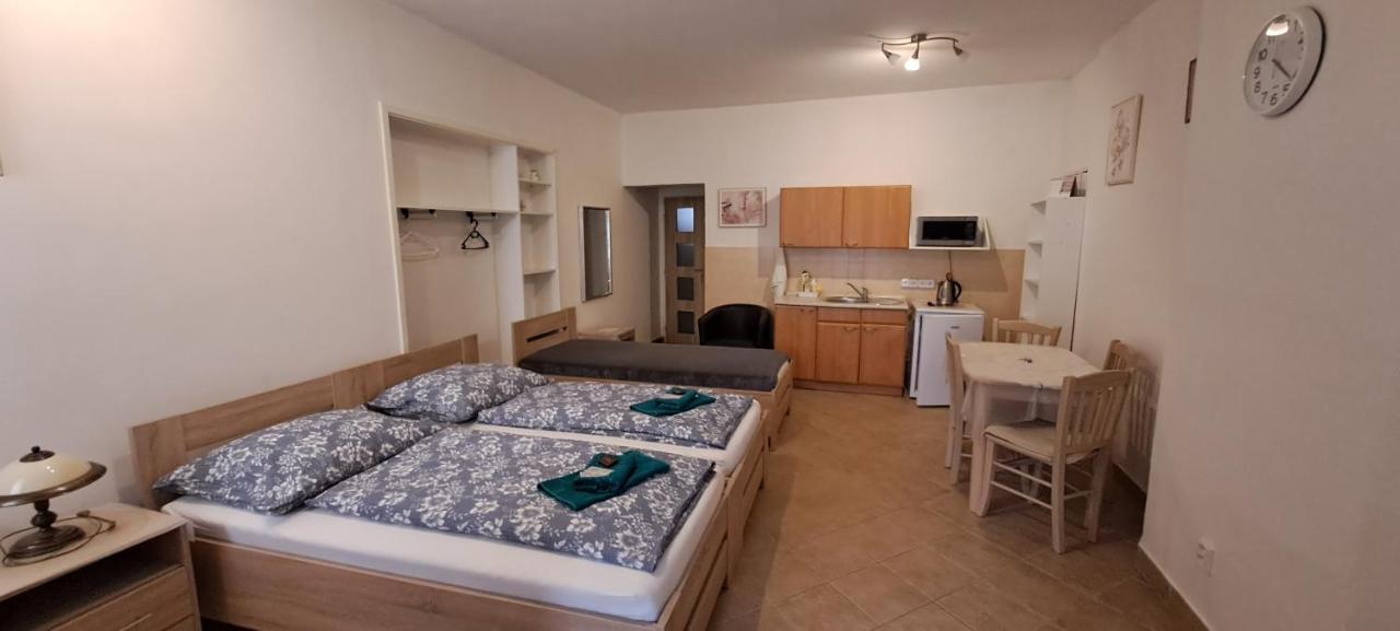 Pension Dana Karaskova Apartamento Kutná Hora Exterior foto