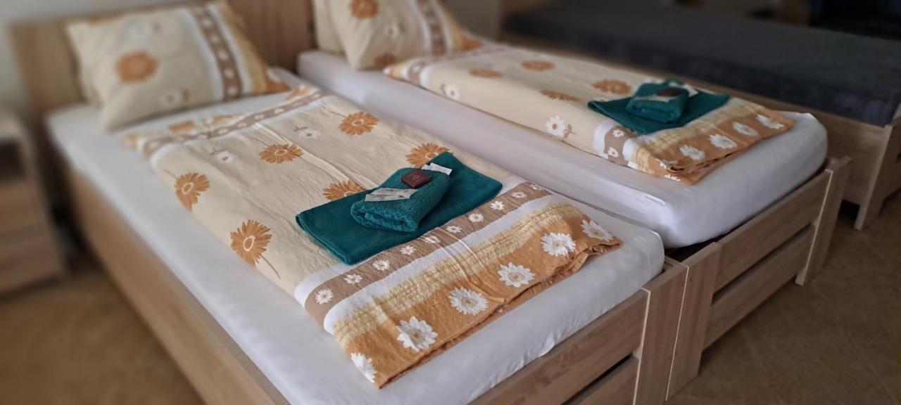 Pension Dana Karaskova Apartamento Kutná Hora Exterior foto