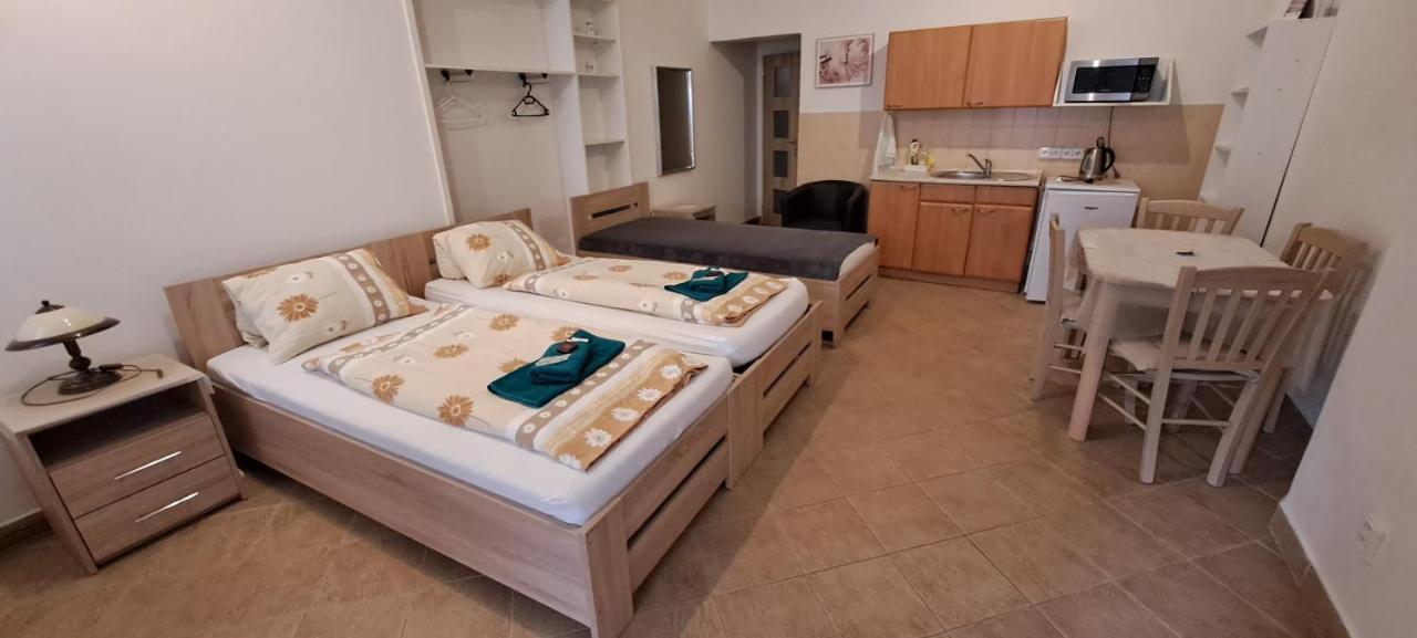 Pension Dana Karaskova Apartamento Kutná Hora Exterior foto