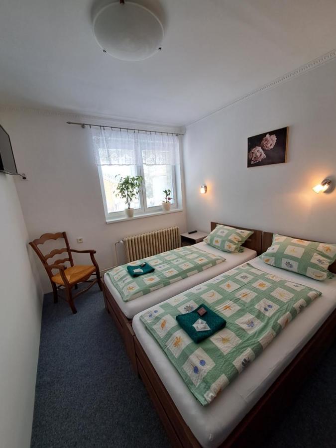 Pension Dana Karaskova Apartamento Kutná Hora Exterior foto