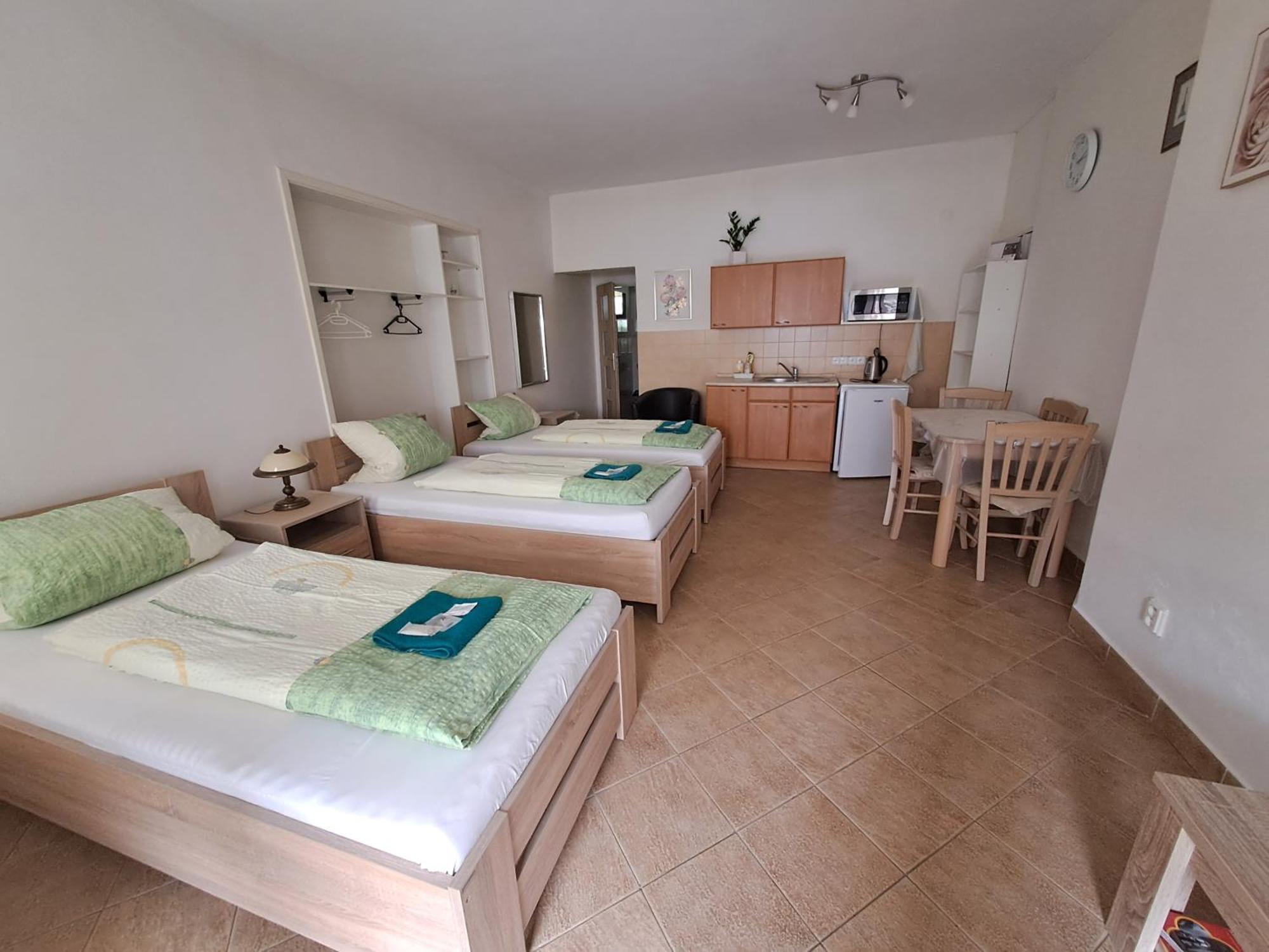 Pension Dana Karaskova Apartamento Kutná Hora Exterior foto